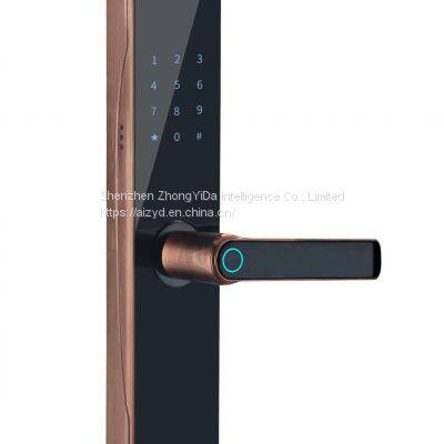 Smart Lock, Fingerprint Lock, Password Lock