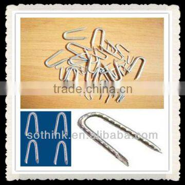 U Staples Nails for Fence Setting(competitive Price)