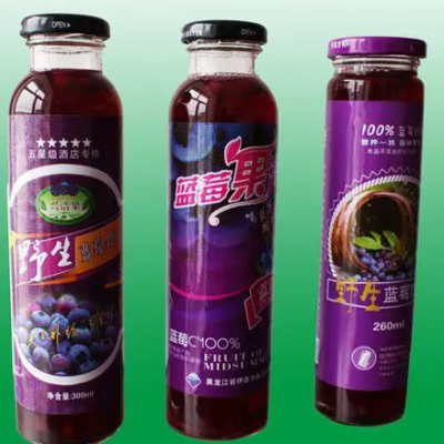 Линия по производству черничного сока. Оборудование для производства черничного сока.