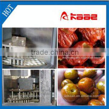 Hot sale Industrial Dates seeder manufactured in Wuxi Kaae