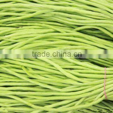 Good Taste Vegetable Seeds SX Cowpea Seeds No.1407