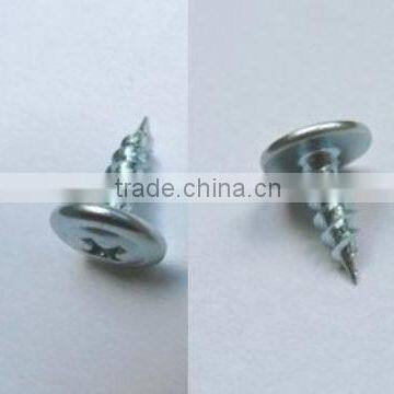 China Cheap Truss Head Self Tapping Screw photo-3