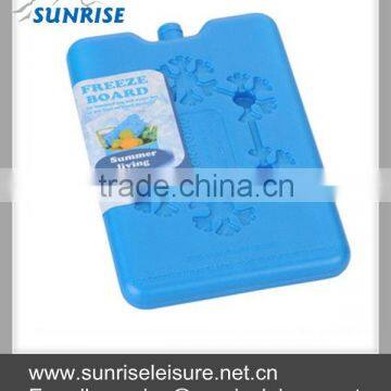 81069# 200g Ice Freezer Block