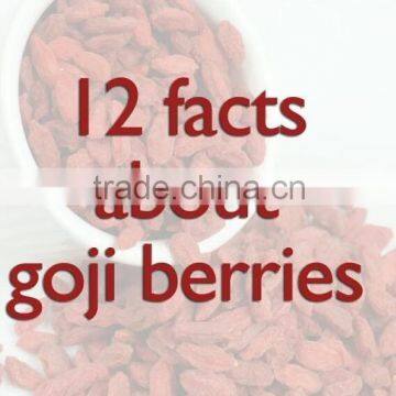 12 facts about Ningxia Goji berries 180/ 220/250/280/350/380/550/600/700/800 Grains/50g,Medlar fruit Ningxia Healthy gouqi