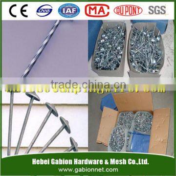 BWG9-13 E.G.Roofing Nails Wholesale China Supplies