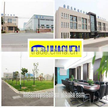 Nylon Conveyor Belt for Conveying Wood Bark photo-4