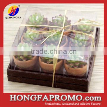 Succulent Plants Shaped Wax Candle Set