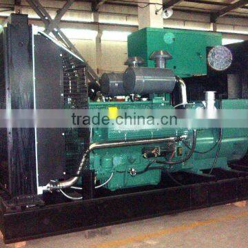 Chinese Wudong diesel generator