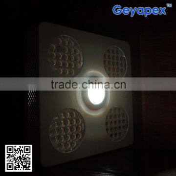 New Arrival 2015 Full Spectrum 200W LED Grow Lights with 5000k Pure White Creex CXA 2540 COB