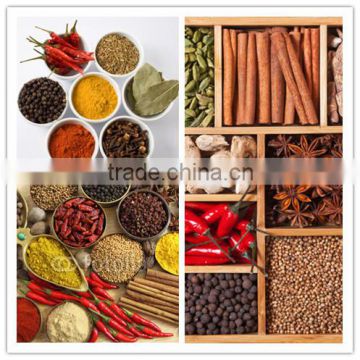 Chinese Various spices OEM /YY spice