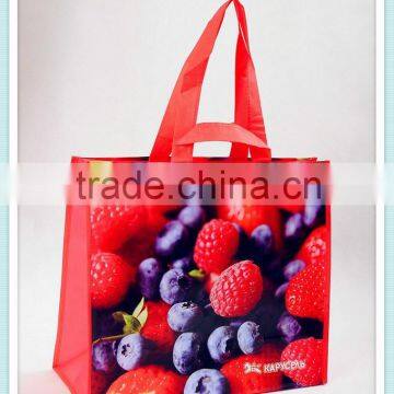 Fashion Shopping Bag on Sale,nice Bag ,pp Woven Bag photo-4