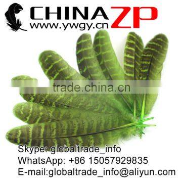 ZPDECOR Feather Dyed Green Hen Ringneck Pheasant Wing Quills Feather photo-3