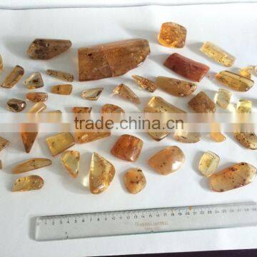 Colombian Amber (Copal) - Polished With Insects