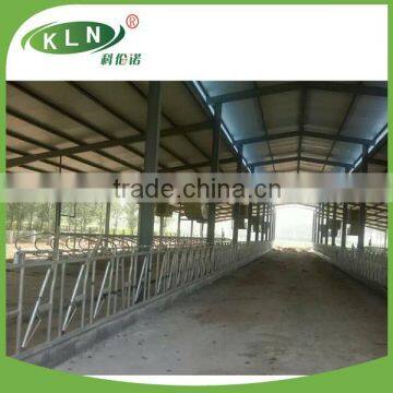 KLN Feeding Equipment Cow Head Locks