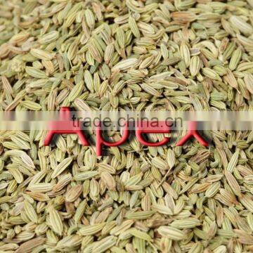 Apex Supplies Quality Foeniculum Vulgare Fennel / Foeniculum Vulgare / Fennel Seeds / Saunf