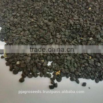 Hybrid Onion Seeds photo-2