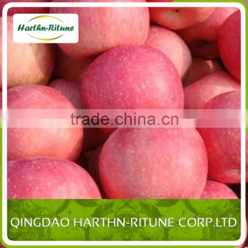 Yantai Fresh fruit red fuji apple best price exporter in china