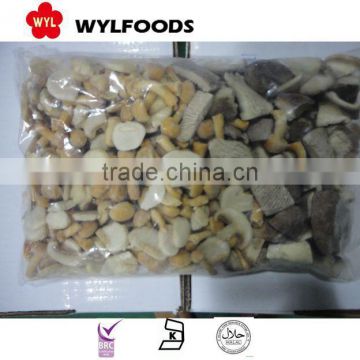 2015 new price frozen oyster mushrooms