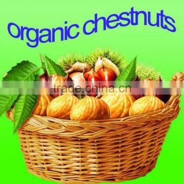 roasted organic chestnuts,healty nuts