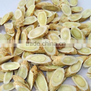 Excellent Astragalus Extract Powder