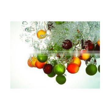 HP-360 Fruit Washing & Drying Machine Cherry Tomatoes ,kumquat , Grapes, Pears photo-4