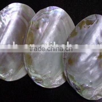 Wholesale Chinese Polished Raw River Shell photo-3