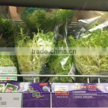 Automatic Pillow Water Convolvulus Vegetable Packing Machine photo-6