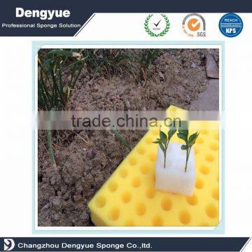Agricultural Hydroponic Grow Systems Foam Tray Seed photo-6