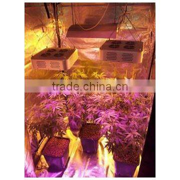 Full Spectrum Indoor Grow Lights 300w Cob Led Indoor Garden Lights photo-6