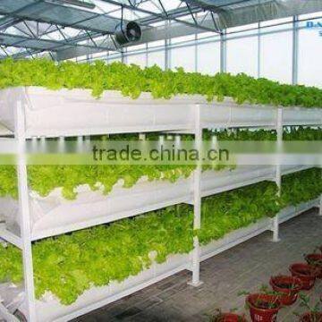 Hydroponic Greenhouse For Vegetable photo-2