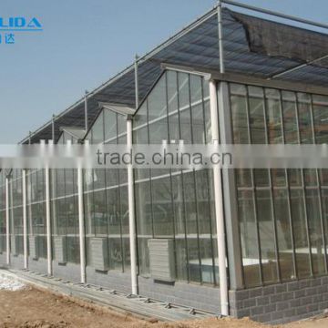 BaoLiDa large multi span tempered glass greenhose hot-dip galvanized steel tube structure mushroom greenhouse