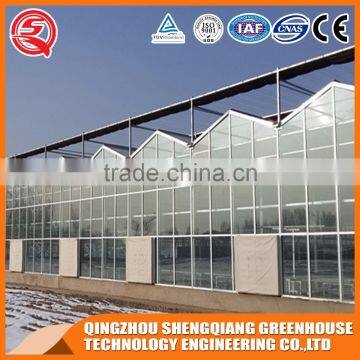 Factory Direct Sale Multi Span Agricultural Glass Greenhouse photo-4