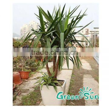 Disposable Plastic Pot Self Watering Flower Pot photo-4