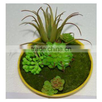 SJ0409032 Indoor Wall Hanging Mini Wall Art Decoration photo-5