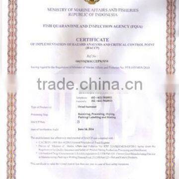 Eucheuma Spinosum With High Quality photo-5