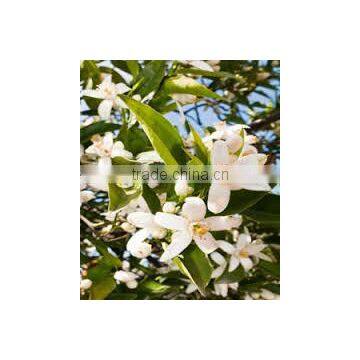Neroli Oil photo-4