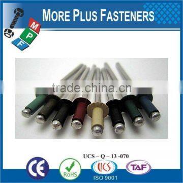 Made in Taiwan Painted Head Fasteners photo-2