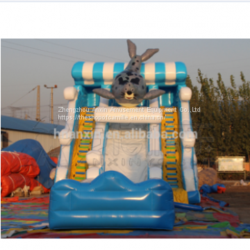Inflatable Commercial Water Park Products Water Slides, Seal Sea Dog Type Inflatable Slide photo-3