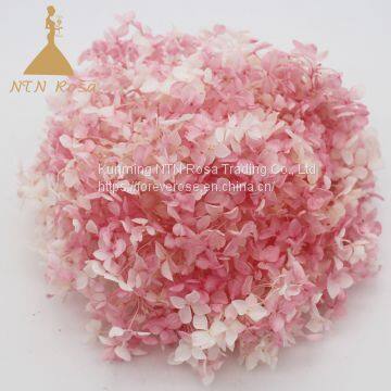 Grade a Small Leaf Preserved Hydrangea with More Than 40 Colors for Floral   home  decoration and events