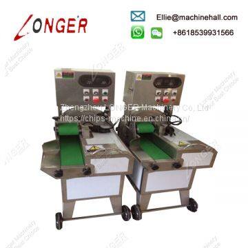 Hot Sale Large Type Vegetable Cutting Machine photo-2