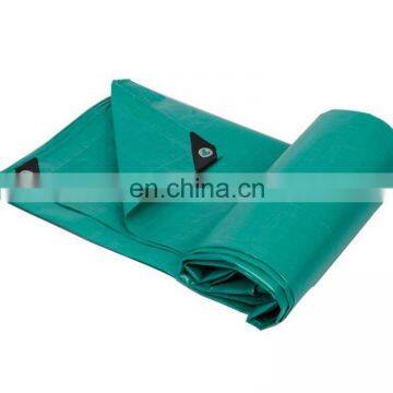 Blue PVC Tarpaulin Professional Experience