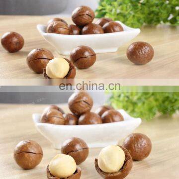 macadamia nut processing equipment macadamia nut cutting machine