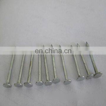 concrete steel nail/masonry nail from China top factory