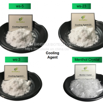 High Quality Menthol Coolant Product Cooling Mint Agent Ws-5 Used For Wet Tissue