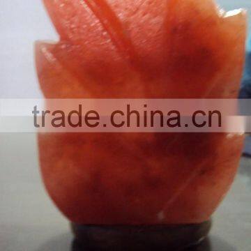 Himalayan Salt Fancy Lamps Leaf Design