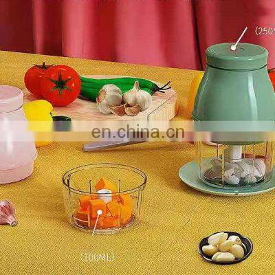 Hot Selling Model 45W 100ML 250ML Rechargeable Portable Food Processor Chopper Mini Garlic Food Chopper photo-2