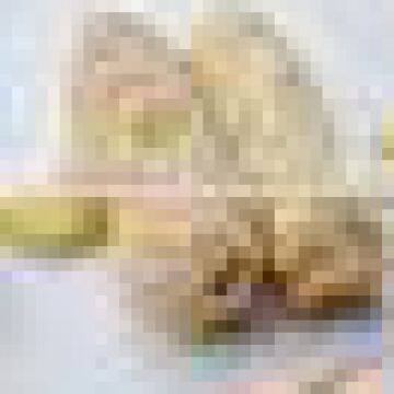 2015 high efficient breadcrumbs machine