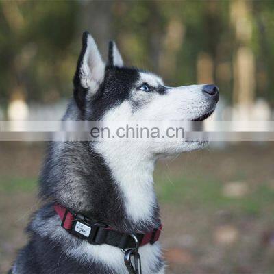 Waterproof Dog Collar With Logo Buckle High End Pet Collar Accept Custom