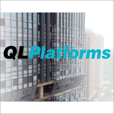 Shandong Qisheng Litong international Trade Co.,Ltd.