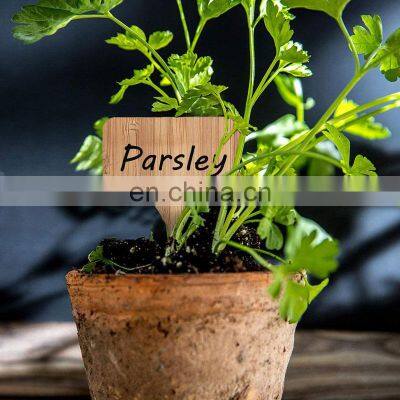 Personalized Good Quality Garlic Pot One Piece Custom Outdoor Bamboo Garden Plant Markers photo-2